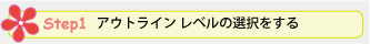 Step 1. アウトライン レベルの選択をする
