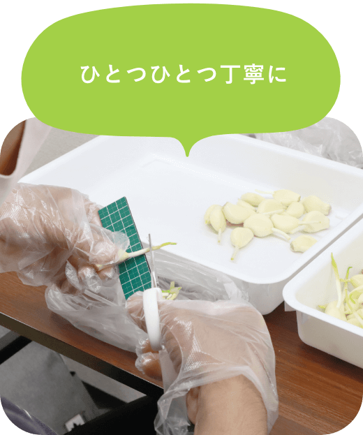 ひとつひとつ丁寧に