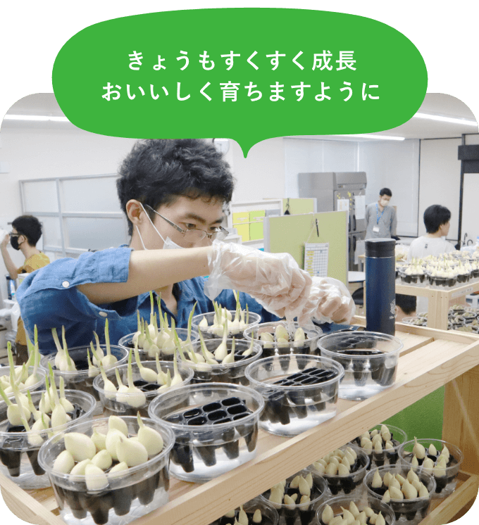 きょうもすくすく成長おいいしく育ちますように