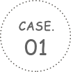 CASE.01